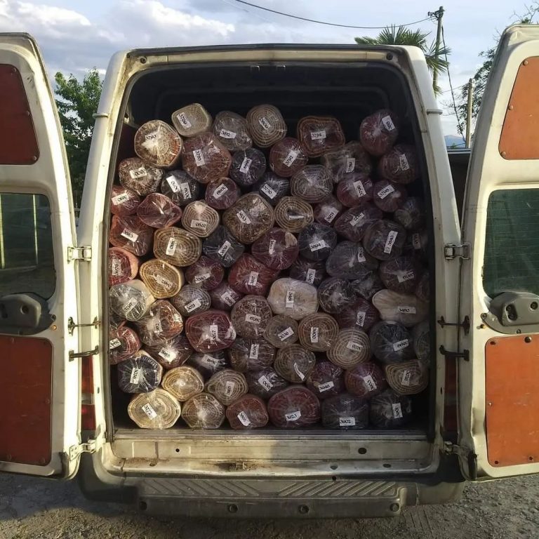 kolikopoulos κολικοπουλος ταπητοκαθαριστηρια εδεσσα καθαρισμος χαλιων